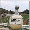 조선토끼眞 | 남파랑길 보성77구간