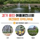 꽃강아지 | 🌸 용인자작나무숲 여름꽃전시회 후기｜강아지와 함께 떠난 백암면 여름 힐링 나들이