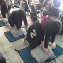 잠신중학교 이미지