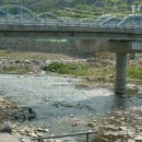 평창 별이빛나는밤에 이미지