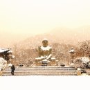 다향방 - 114189 | 다향방