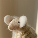 뽀글뽀글 이미지