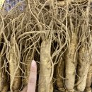 인삼농협판매장 이미지