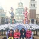 대성박골농장 | 에버랜드 1월 유아동반 코스와 스페셜사파리투어 후기