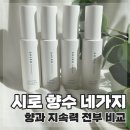 시로 화이트티 얼그레이 비교 후기 | 시로 향수 추천 뭐 살까 고민 끝