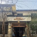 안국역 카페 도토리가든 방문 후기: 숲속 감성과 그릭요거트 디저트의 조합