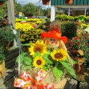 행렬농장 이미지