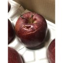 분무골농장 이미지