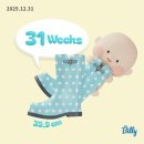 매니골 | 𖤐임신31주차 일상𖤐, 임신 후기 증상