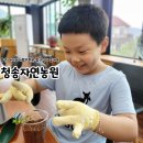 울산 아이와가볼만한곳 팜크닉이 즐거운 청송자연농원
