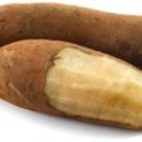 야콘 이미지