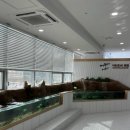 가계주차장 | 부산 명지 아쿠아플레이하우스 내돈내산 후기 아이와 가볼만한 곳 추천