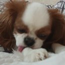 헬로그루밍 이미지