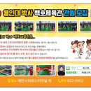 용인대백호체육관 이미지