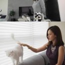 아이비라인 이미지
