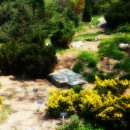 새 천년의 문 이미지