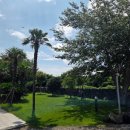 알마레월정 이미지