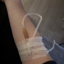 백양제일내과의원 | 대구 맛집 | 걸리버 막창, 제일 숯불 막창 후기 | 범어동 내과 추천