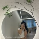 대전 둔산동 필라테스 내돈내산 [단하 필라테스 후기]