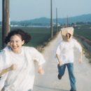 청산농장 | [셀프웨딩촬영] 장소답사 1편 태안 청산수목원 팜파스, 핑크뮬리 10월 중순 방문후기