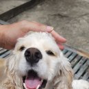 함덕조용한게스트하우스 네이버블로그