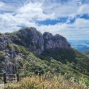 해물밭에 노는 닭 이미지