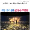 국립나주박물관 | 국립나주박물관 개관 실감 콘텐츠 체험관