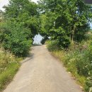 백석5리 이미지