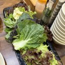 평택 포승맛집 동백정 포승점 제육우렁쌈밥정식 신선한 쌈채소와 고등어구이