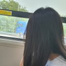 이정이헤어 - 세종특별자치시 한누리대로 157 | 이정이헤어