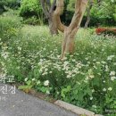 변산서중학교 이미지