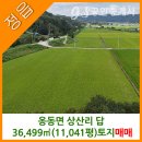 참신한공인중개사사무소 이미지