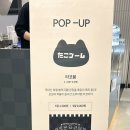 타코붐 타코야끼 이미지