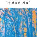 더세로 이미지