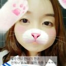 엘린언니 이미지