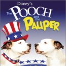 THE POOCH(푸치) 이미지