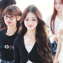 유니스 카카오 검색결과