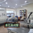 용인효사랑 | 경기 용인시 요양원 요양센터 정보 용인효사랑 전문가가 모신 어르신들