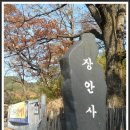 12월21일(수) 부산 기장 장안사 (공업탑:울산대공원 동문 주차장 09시20분 집결) 이미지