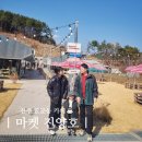 소싸움경기장 | 진주 마켓 진양호, 아이랑 가기 좋은 힐링 카페