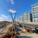 태반프라자