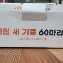 60계신장점