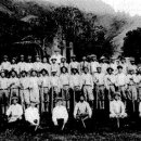 박용만 농장 이미지