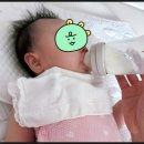 다울 | [3편] 생후 4개월, 갑자기 젖병을 거부한 우리 아기, 두 업체를 이용해 본 리얼 후기(feat. 다울아이)