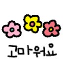 서울고양이분양 묘연 이미지