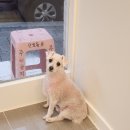 보리미용실 이미지
