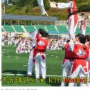 서오태권도 이미지