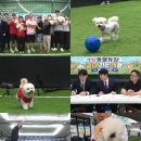 공골농장 MBC연예