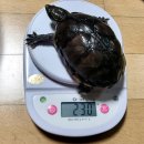 10급 돌파 이미지