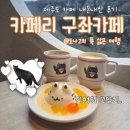 카페리묘 | 제주도 카페 추천 카페리 구좌카페 고양이가 있는 말젯문 근처 카페 세화 소품샵